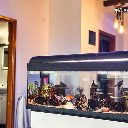 Apartmán Sivas Deluxe House